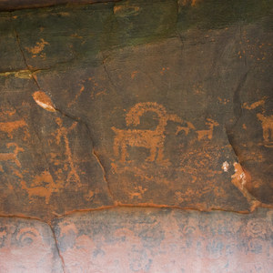 Zion's Petroglyph Canyon