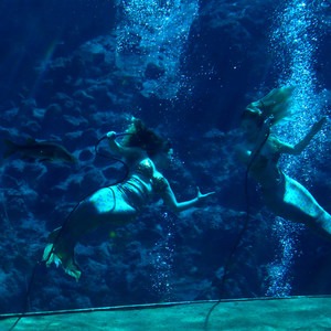 Weeki Wachee Springs State Park