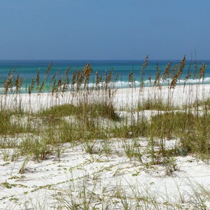 Grayton Beach State Park