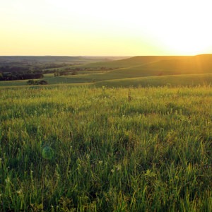 Konza Nature Preserve