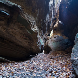 Nelson Kennedy Ledges State Park Trails