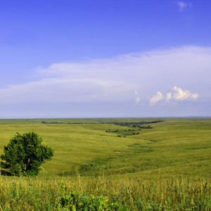 Tallgrass Prairie National Preserve