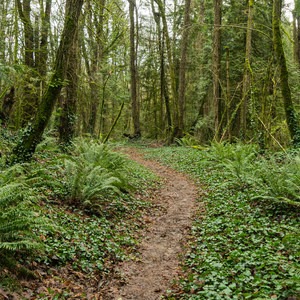 River View Natural Area