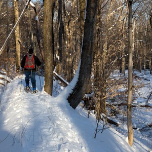 Hickory Run Trail