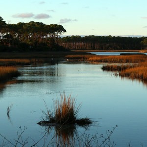 T. H. Stone Memorial St. Joseph Peninsula State Park Campground