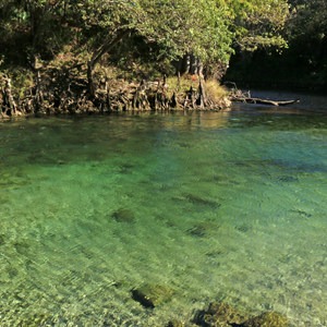 Madison Blue Springs