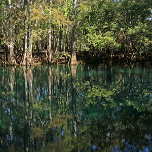 Manatee Springs State Park