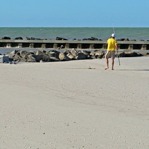 Honeymoon Island State Park