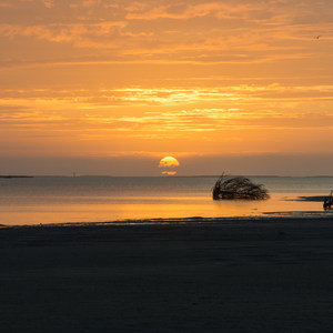 Beaufort to Shackleford Banks Paddle