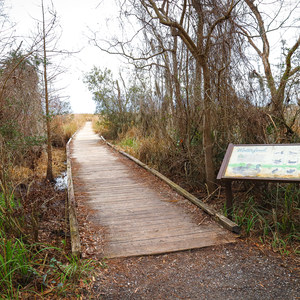 Sugar Mill Nature Trail