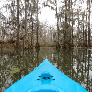 Lake Martin Paddling