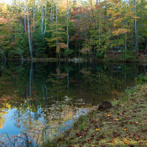 Raymond Fisher Campsites