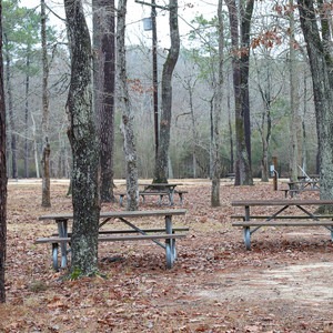 Sam Houston Jones State Park Campground