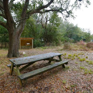 Peveto Woods Sanctuary