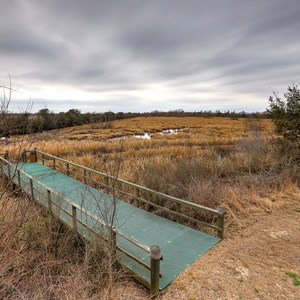 White Lake Wetlands Conservation Area Birding + Nature Trail
