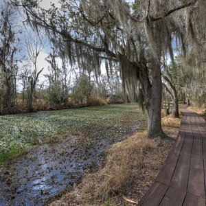 Jean Lafitte National Historical Park + Preserve