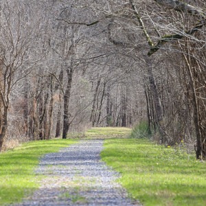 Oxbow Wildlife Viewing Trail