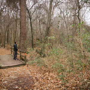 Chicot State Park Hiking Trail