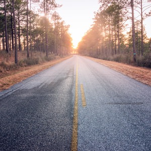Longleaf Scenic Byway