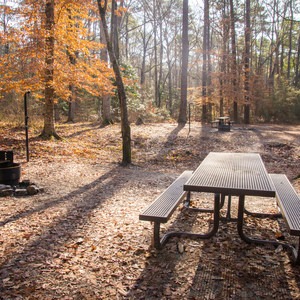 Kisatchie Bayou Campground