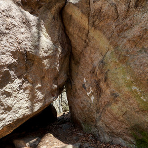 Lemon Squeezer + Lichen Trail