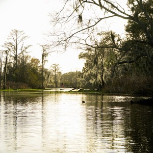 Cane Bayou