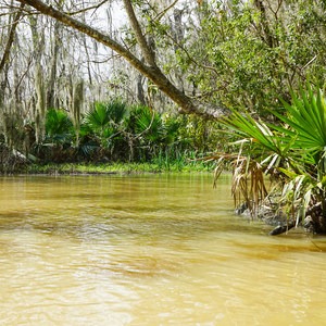 Franklin + Bayou Teche Paddle Trails