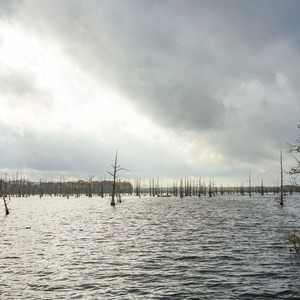 Black Bayou Lake Canoe Trail