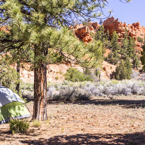 Red Canyon Campground