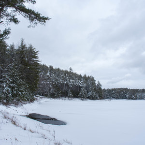 Meadow Lake Trail Snowshoe