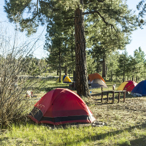 Ponderosa Grove Campground