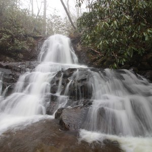 Laurel Falls