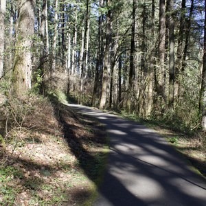 Lowami Hart Woods Natural Area