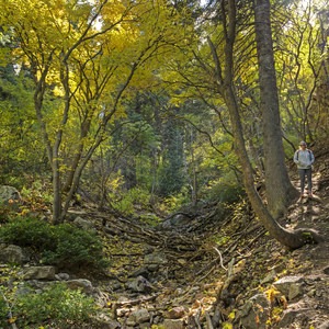 South Fork of Neff's Canyon