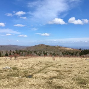 Grayson Highlands Backpacking Loop