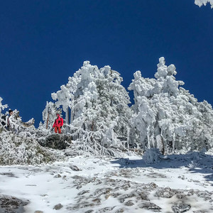 Mount Baldy via Register Ridge