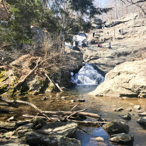 Cunningham Falls
