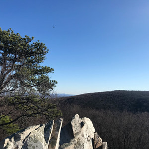 Cat Rock Mountain via Old Misery Trail