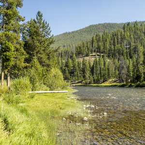 Mormon Bend Campground