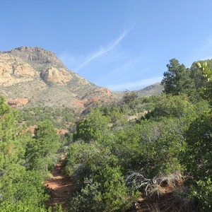 Wilson Mountain hike