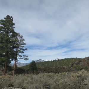 Sunset Crater Volcano National Monument