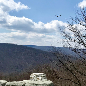 Wolf Rock + Chimney Rock Loop