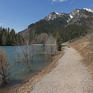 Tibble Fork Loop