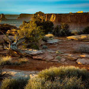 Grand Viewpoint Overlook Trail