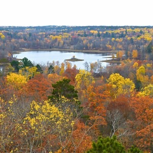 Aiton Heights Fire Tower