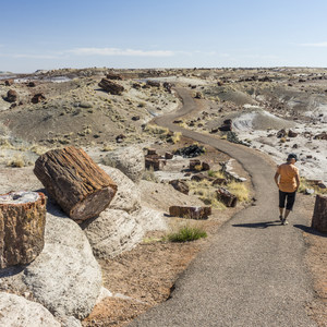 Crystal Forest Loop Hike
