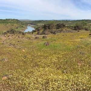 Yana Trail: Perry Riffle to Massacre Flat