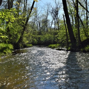 Bicentennial Woods Nature Preserve