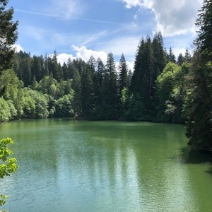 Detroit Lake Blowout Arm Bridge