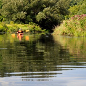 Lackawanna State Park